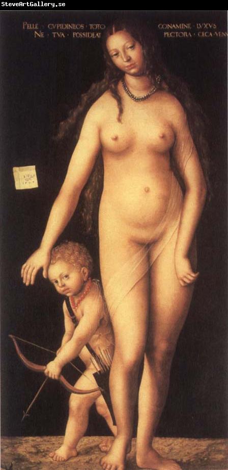 Lucas Cranach the Elder Venus and Cupid